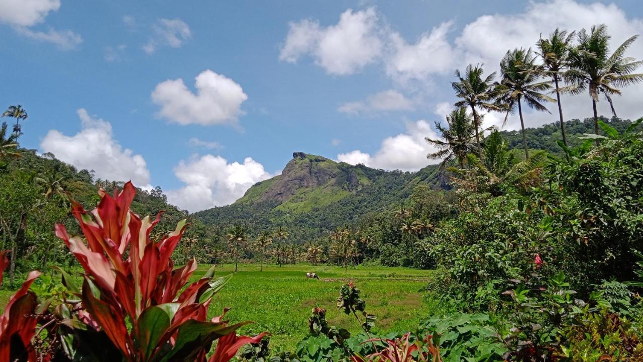 Maliyeckal Homestay Munnar Exterior foto