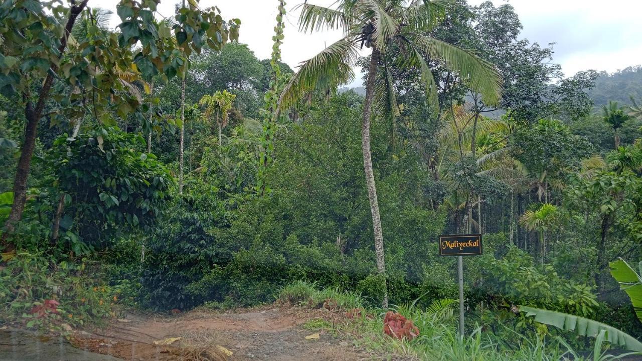 Maliyeckal Homestay Munnar Exterior foto