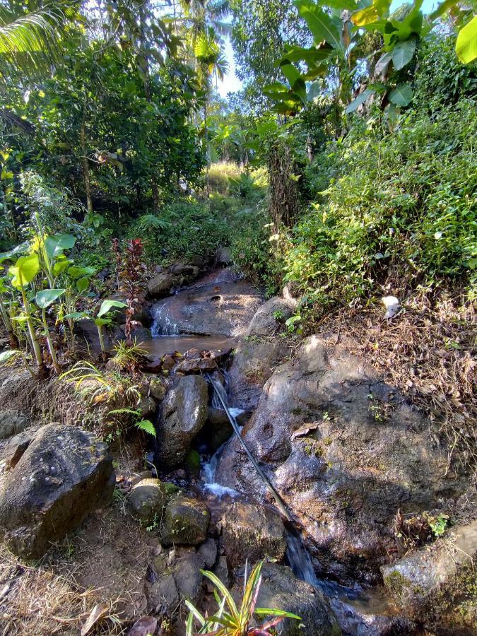 Maliyeckal Homestay Munnar Exterior foto