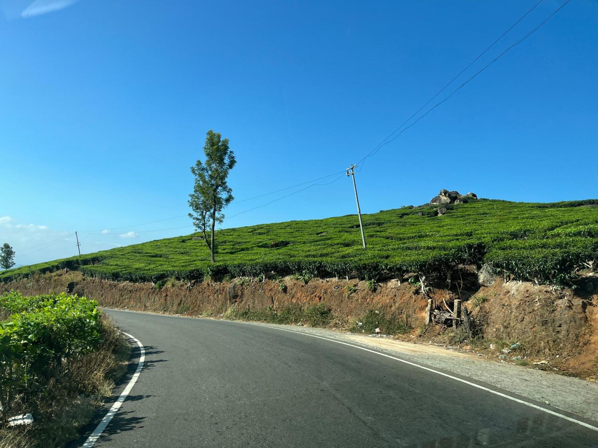 Maliyeckal Homestay Munnar Exterior foto