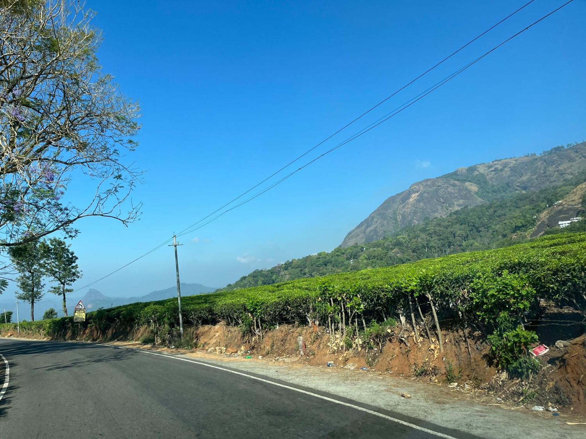 Maliyeckal Homestay Munnar Exterior foto